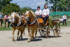 Pferdetag Knoblauchsland 2019